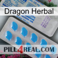 Dragon Herbal new15